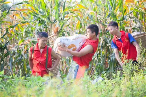 青山证：云南林业职院学子滇金丝猴廊道修复实践记