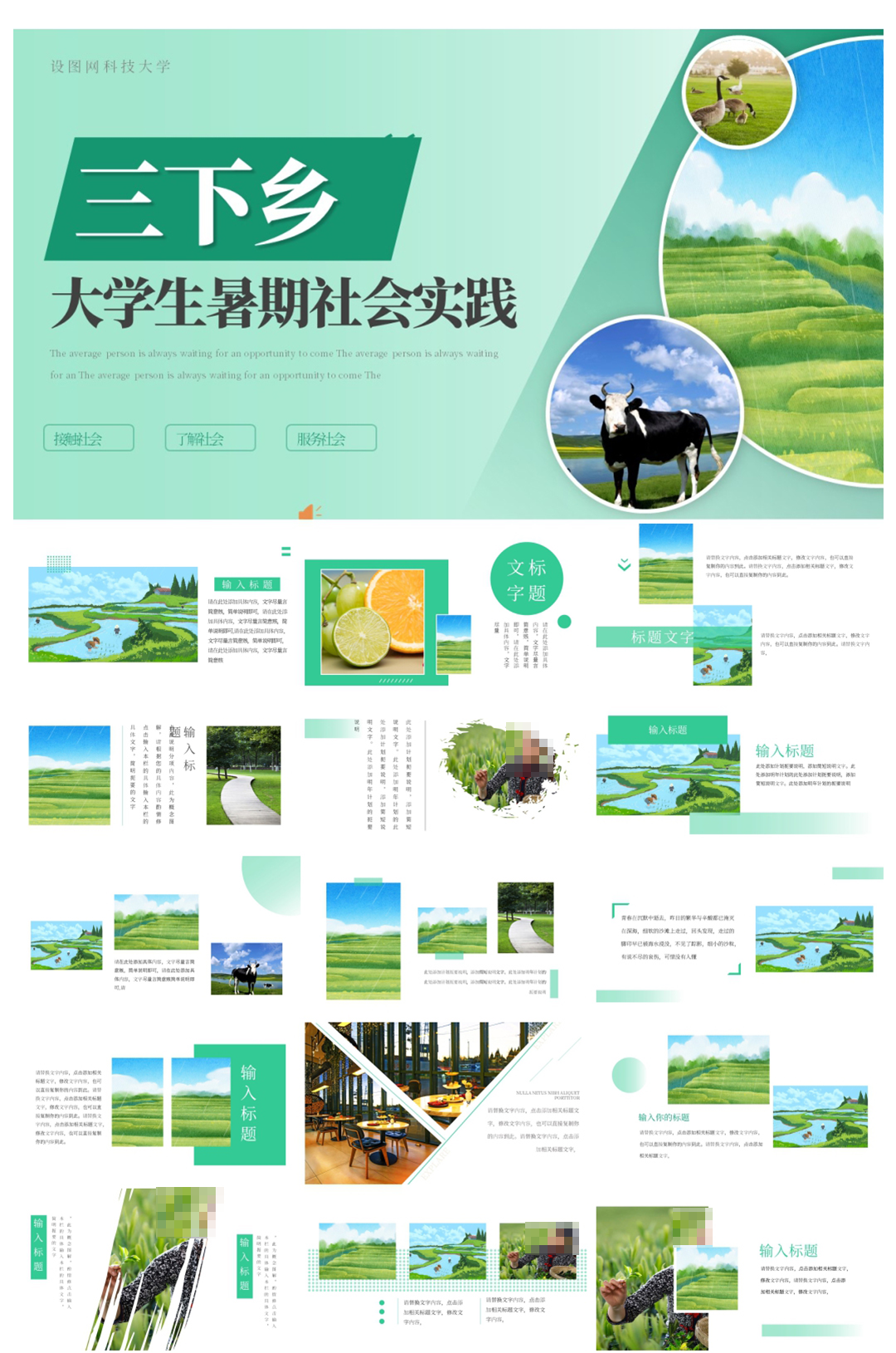 果蔬园里的助农曲——湖南生物机电职院三下乡实践故事